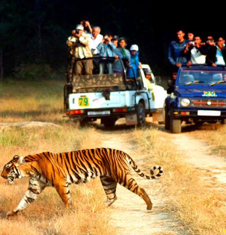 Adventure & Wildlife Tour Packages